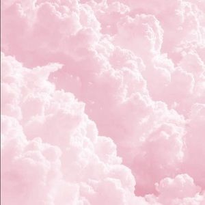 Meet your Posher, Delilah